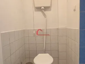 Pronájem bytu 1+1, Mikulčice - Těšice, 45 m2