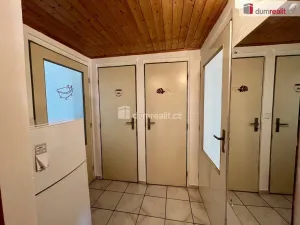 Pronájem rodinného domu, Karlovy Vary - Stará Role, Dykova, 179 m2