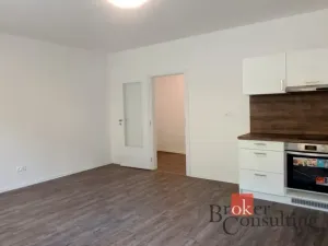 Pronájem bytu 1+kk, Ostrava - Přívoz, Palackého, 33 m2