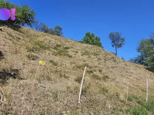 Prodej rodinného domu, Hošťálková, 100 m2