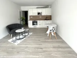 Pronájem bytu 1+kk, Brno, Střední, 45 m2