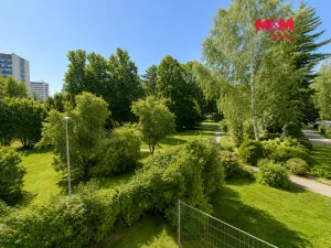 Pronájem bytu 1+1, Karviná - Hranice, Flemingova, 32 m2