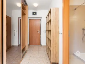Pronájem bytu 1+kk, Praha - Podolí, Dvorecká, 55 m2