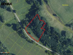 Prodej louky, Borušov, 6111 m2