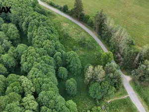 Prodej louky, Borušov, 6111 m2