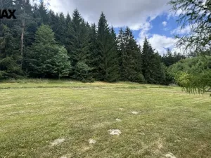 Prodej pozemku pro bydlení, Borušov, 805 m2