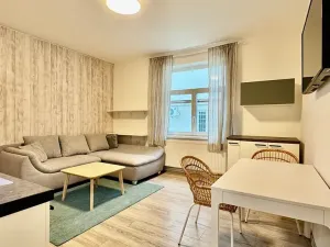 Pronájem bytu 3+kk, Bílovec, Slezské náměstí, 60 m2