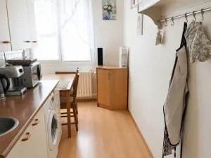 Pronájem bytu 2+1, Starý Plzenec, Nerudova, 53 m2
