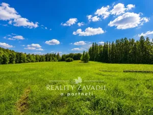 Prodej ubytování, Vysoká - Pitárné, 322 m2