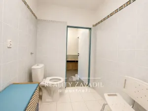 Prodej ubytování, Vysoká - Pitárné, 322 m2