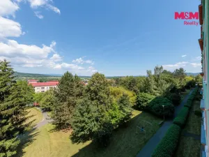 Prodej bytu 2+1, Karlovy Vary - Stará Role, Dvořákova, 65 m2
