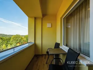 Prodej apartmánu, Frymburk, 30 m2