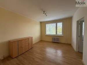 Pronájem bytu 1+1, Litvínov - Horní Litvínov, U Zámeckého parku, 35 m2
