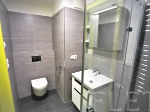 Pronájem bytu 1+kk, Praha - Karlín, Sokolovská, 31 m2