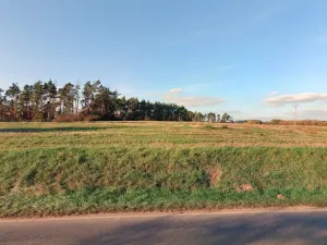 Prodej pole, Velký Bor, 18300 m2