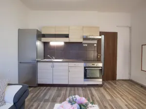 Prodej bytu 2+kk, Praha - Žižkov, Jana Želivského, 56 m2