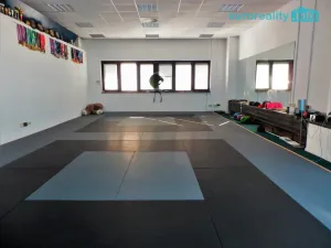 Pronájem komerční nemovitosti, Praha - Stodůlky, Mukařovského, 347 m2