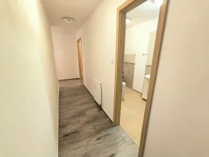 Pronájem bytu 1+kk, Ústí nad Labem, Londýnská, 52 m2