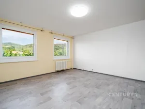 Prodej bytu 1+kk, Ústí nad Labem, Obvodová, 32 m2