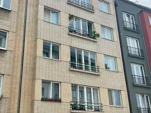 Prodej bytu 1+1, Praha - Vršovice, Užocká, 49 m2