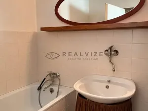 Prodej bytu 2+1, České Budějovice, Mánesova, 73 m2