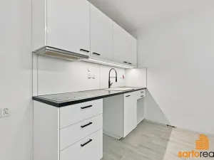 Pronájem bytu 2+kk, Ústí nad Labem, Resslova, 45 m2