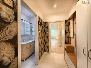 Pronájem bytu 1+kk, Teplice, U divadla, 38 m2