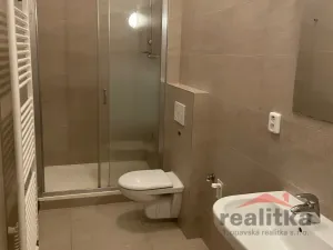 Pronájem bytu 3+kk, Opava - Předměstí, Hauerova, 104 m2