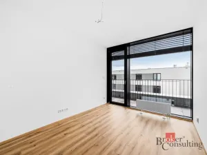 Pronájem bytu 2+kk, Plzeň - Jižní Předměstí, Železná, 62 m2