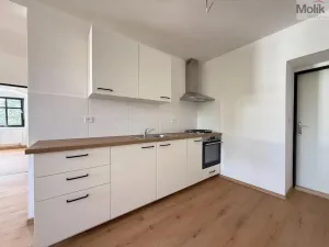 Pronájem bytu 3+kk, Osek, Tovární, 48 m2