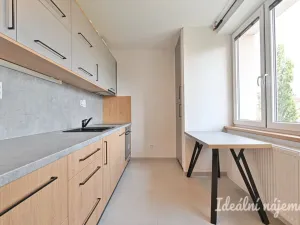 Pronájem bytu 3+1, Brno, Polní, 77 m2
