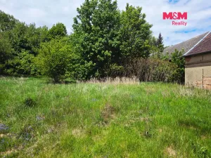 Prodej pozemku pro bydlení, Bor - Boječnice, 1093 m2