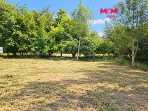 Prodej pozemku pro bydlení, Bor - Boječnice, 1115 m2