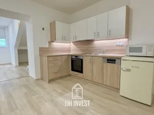 Pronájem obchodního prostoru, Plzeň - Východní Předměstí, Pařížská, 150 m2