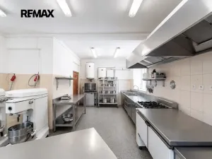 Prodej rodinného domu, Svinaře, Zelená Hora, 500 m2