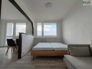 Pronájem bytu 1+1, Most, Růžová, 40 m2