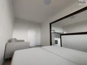 Pronájem bytu 1+1, Most, Růžová, 40 m2