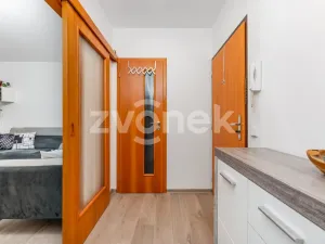 Prodej bytu 3+1, Zlín, Valachův žleb, 68 m2