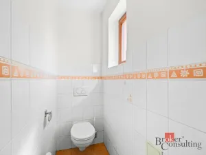 Prodej rodinného domu, Horní Bříza, Lesní, 196 m2