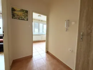 Pronájem bytu 1+1, Plzeň - Jižní Předměstí, Alešova, 36 m2