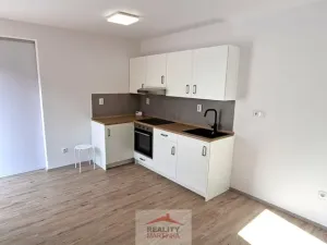 Pronájem rodinného domu, Valašské Meziříčí, 28. října, 37 m2