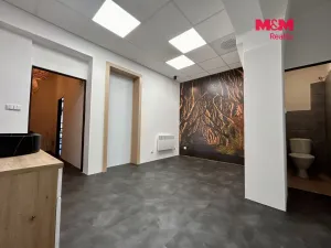 Pronájem obchodního prostoru, Nýrsko, Prap. Veitla, 23 m2