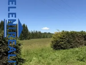 Prodej pozemku, Zlaté Hory - Rejvíz, 451 m2