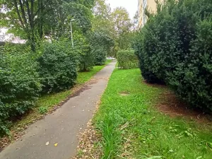 Prodej bytu 3+1, Praha, Křivenická, 72 m2