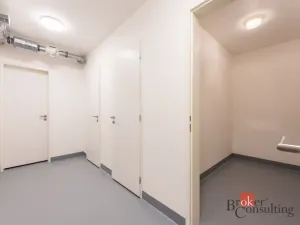 Pronájem bytu 2+kk, Brno - Maloměřice, Růženin lom, 53 m2