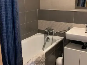 Pronájem bytu 1+kk, Praha - Žižkov, Baranova, 40 m2