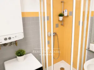 Pronájem bytu 2+kk, Praha - Žižkov, Biskupcova, 47 m2