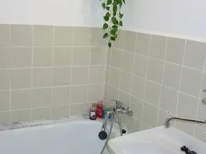 Pronájem bytu 1+1, Planá nad Lužnicí, Průmyslová, 39 m2