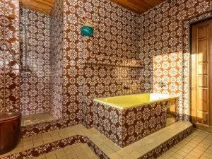 Prodej rodinného domu, Litvínov - Janov, Křížatecká, 480 m2