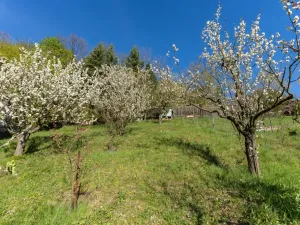 Prodej chaty, Kostomlaty pod Milešovkou, Lhenická, 47 m2